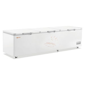 Tủ đông 1 chế độ đáy phẳng BD/BC-1910