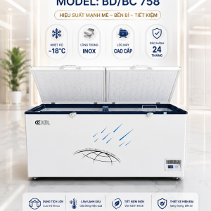Tủ đông 1 chế độ đáy phẳng BD/BC-758