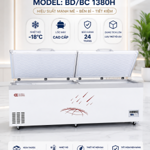 Tủ đông nằm BD/BC-1380H