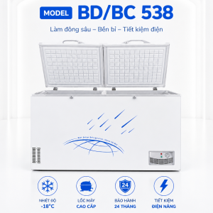 Tủ đông BD/BC-538
