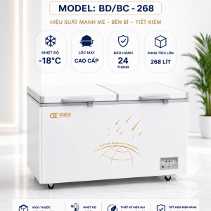 Tủ đông 2 chế độ đáy phẳng BD/BC-268
