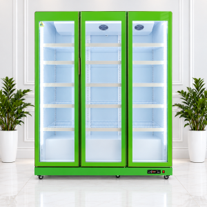Tủ mát LG-1670F xanh OUCBOLL 1500 lít