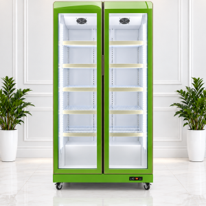 Tủ mát LG-1110F xanh OUCBOLL
