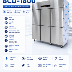 Tủ đông 6 cánh inox đông trực tiếp BCD -1800