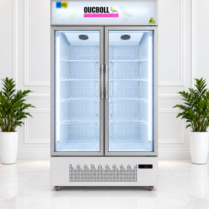 Tủ đông trưng bày LD-1200F OUCBOLL Cao Cấp